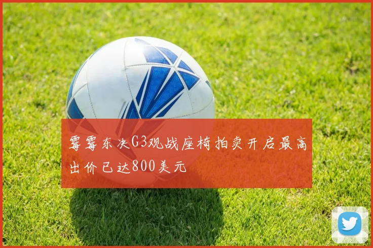 霉霉东决G3观战座椅拍卖开启最高出价已达800美元