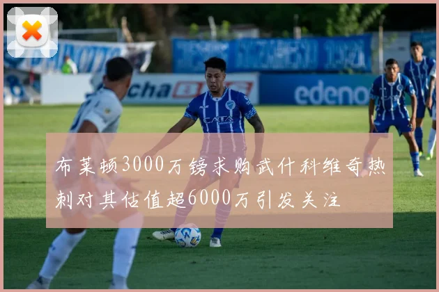 布莱顿3000万镑求购武什科维奇热刺对其估值超6000万引发关注